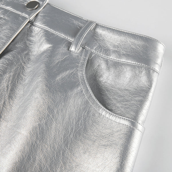 Silver Metallic Skirt