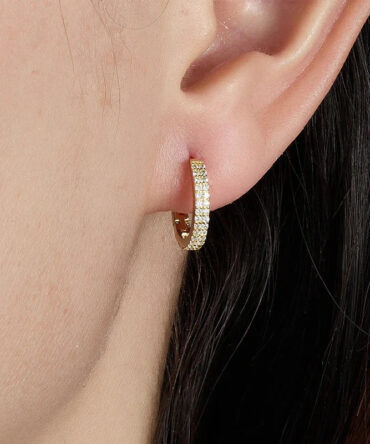 Brincos de argola pavimentados Cathy 2