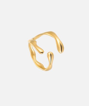 Anel de deriva (ajustável) 1